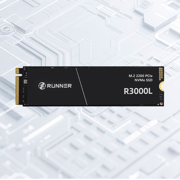 RUNNER R3000L M.2 PCIe Gen3x4 2280 NVMe高速固态硬盘